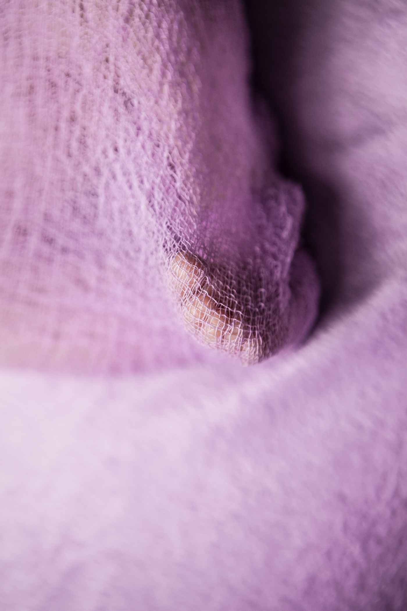 IMG_6841-Edit